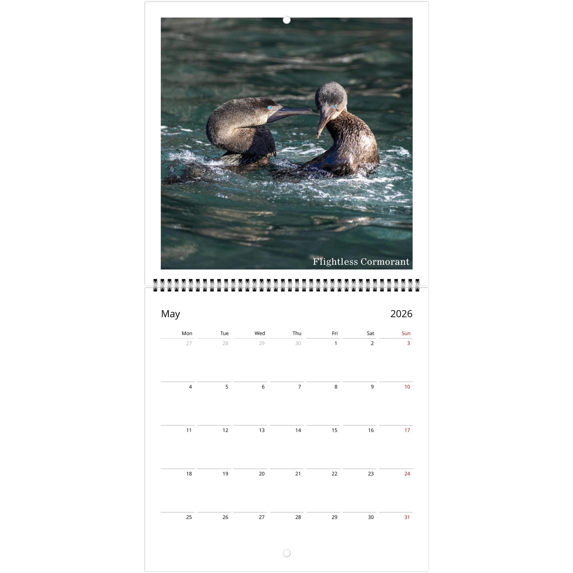 26b8b086-344e-47b7-b40a-14e3d0be2441