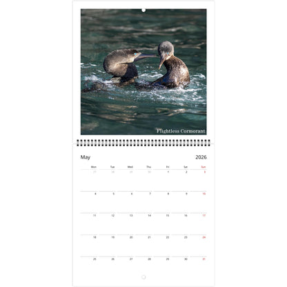 26b8b086-344e-47b7-b40a-14e3d0be2441