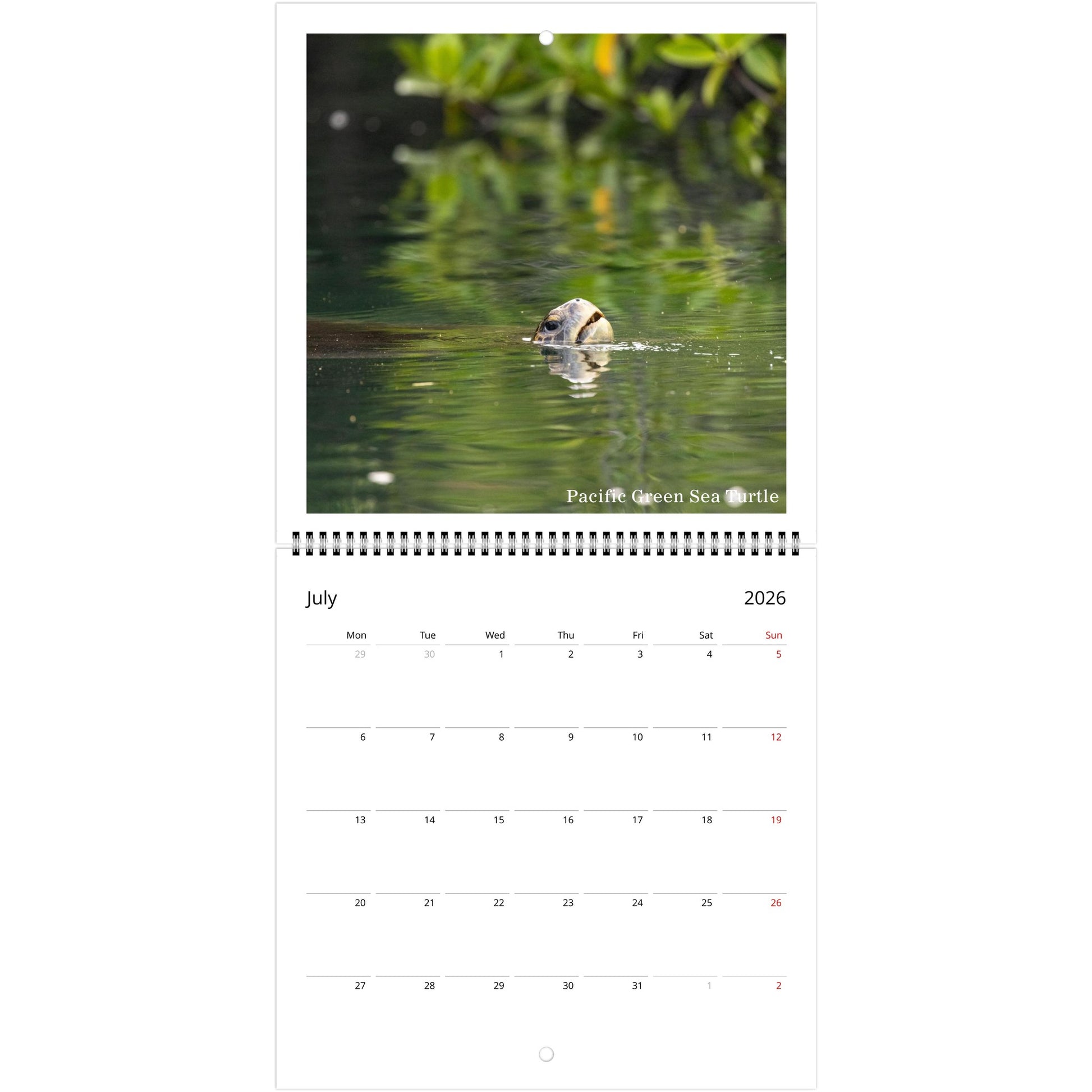 2ddfaacf-13ca-40fd-87ac-c7dad9a6b667