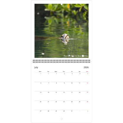 2ddfaacf-13ca-40fd-87ac-c7dad9a6b667