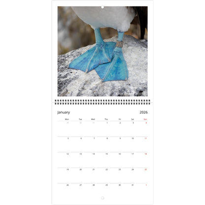 345a4a3d-2d12-49cf-8e0f-f26b5cee272d