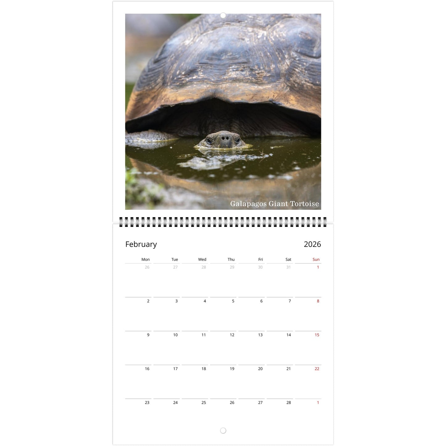 39954034-f778-4822-b52f-e63003fd7d48