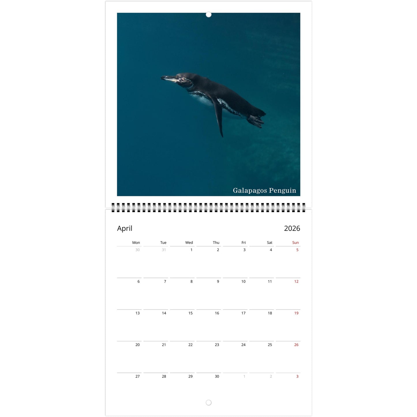 52bd5b68-01cf-4e80-9836-22226dcc9636