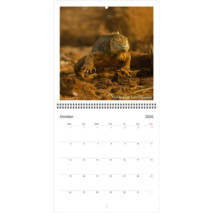 623d5df4-f0c2-487f-ab38-f8bb8158df3b