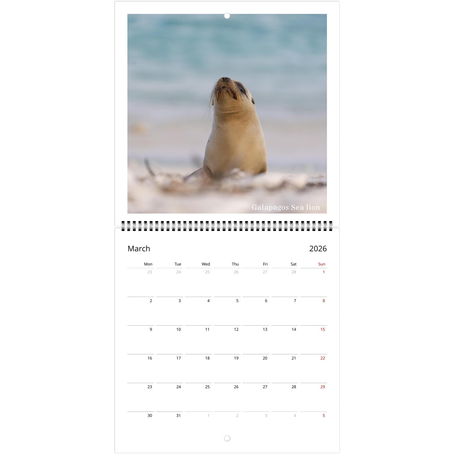 7d8edc18-5bf6-4467-a067-522125e241c2