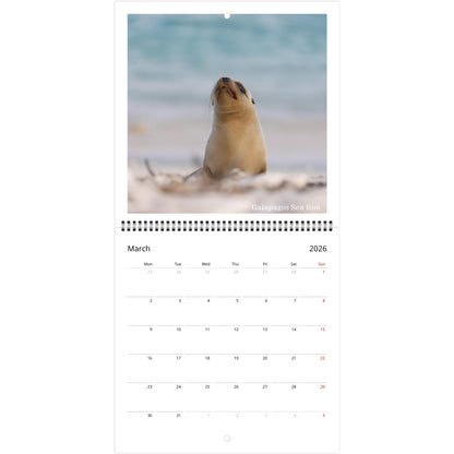 7d8edc18-5bf6-4467-a067-522125e241c2