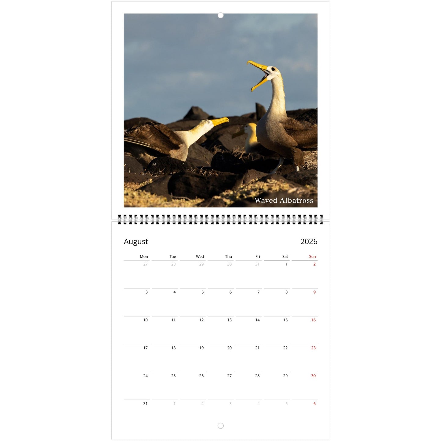 843b5123-8c0f-441b-8fd1-590d3e46f5f8