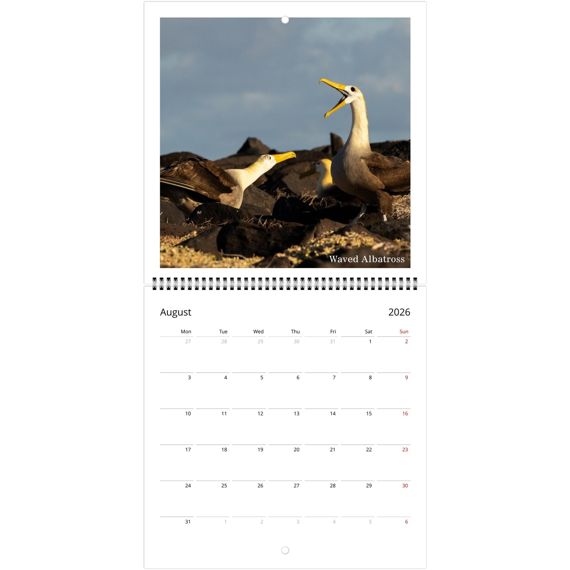 843b5123-8c0f-441b-8fd1-590d3e46f5f8