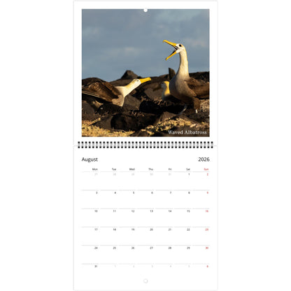 843b5123-8c0f-441b-8fd1-590d3e46f5f8