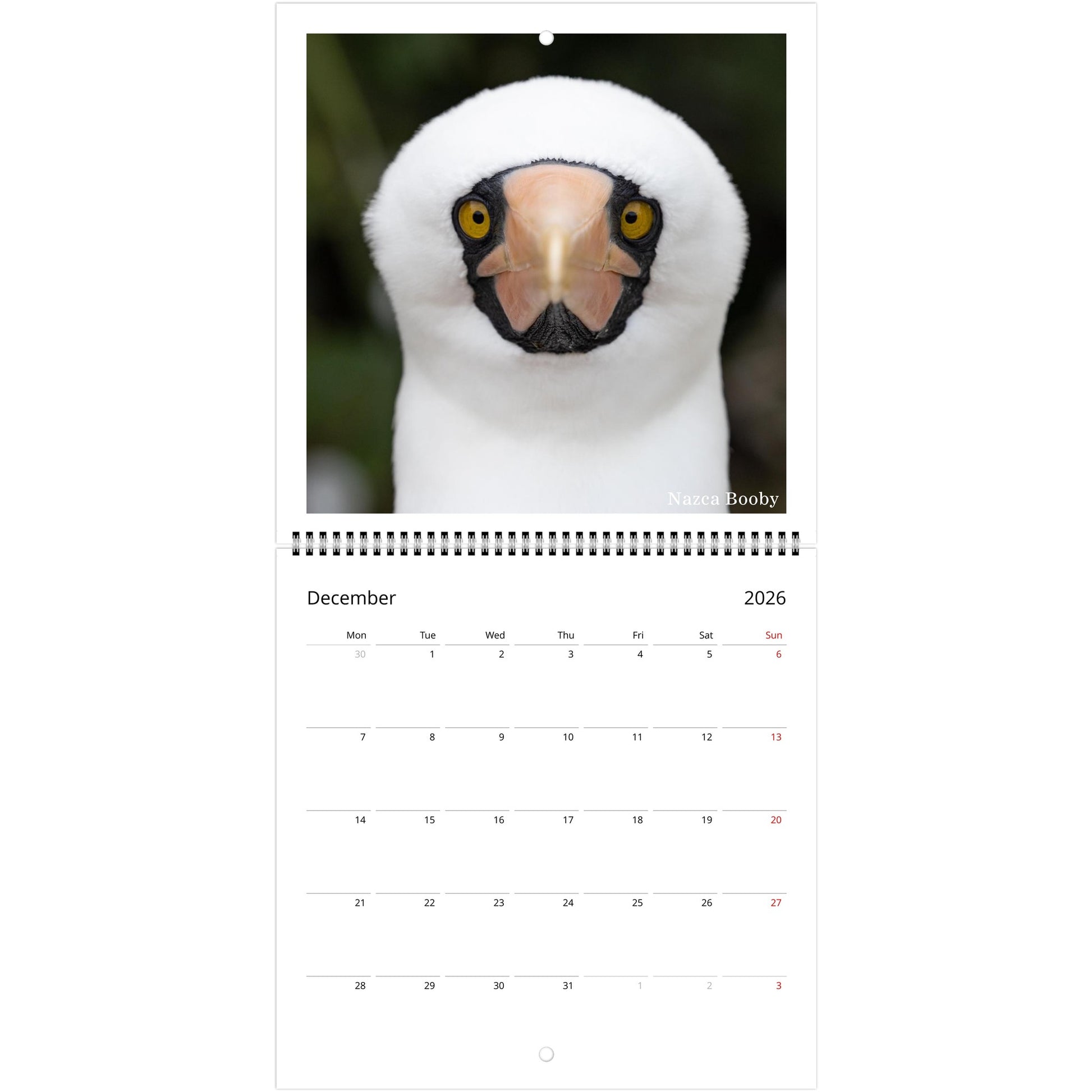 91d99c71-c589-458c-9389-01b64ab57107