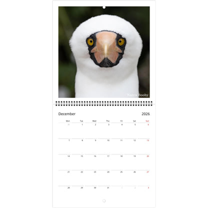 91d99c71-c589-458c-9389-01b64ab57107