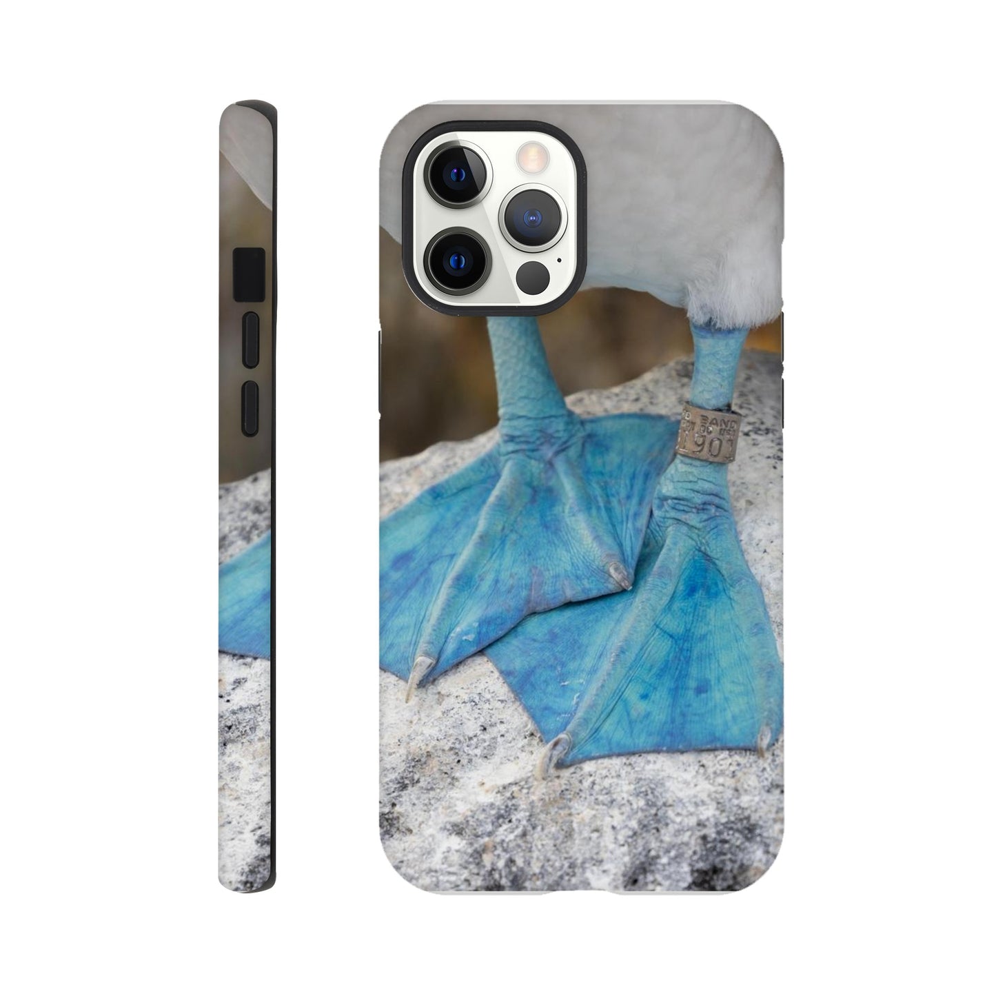 ae5bb103-b362-461f-bc6c-43d5981eabf0