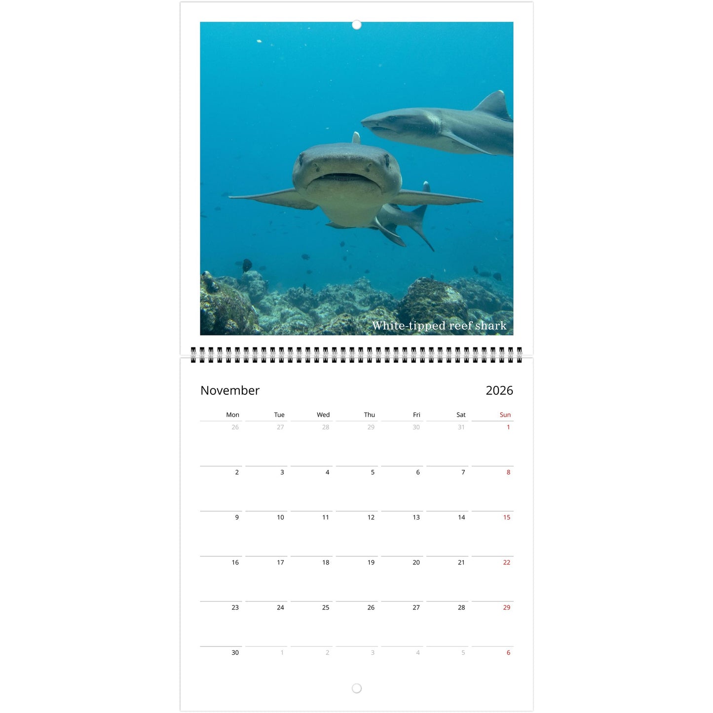 be43ff6f-db8d-4bb1-ae17-f3d493fc9bce