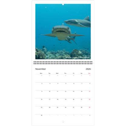 be43ff6f-db8d-4bb1-ae17-f3d493fc9bce