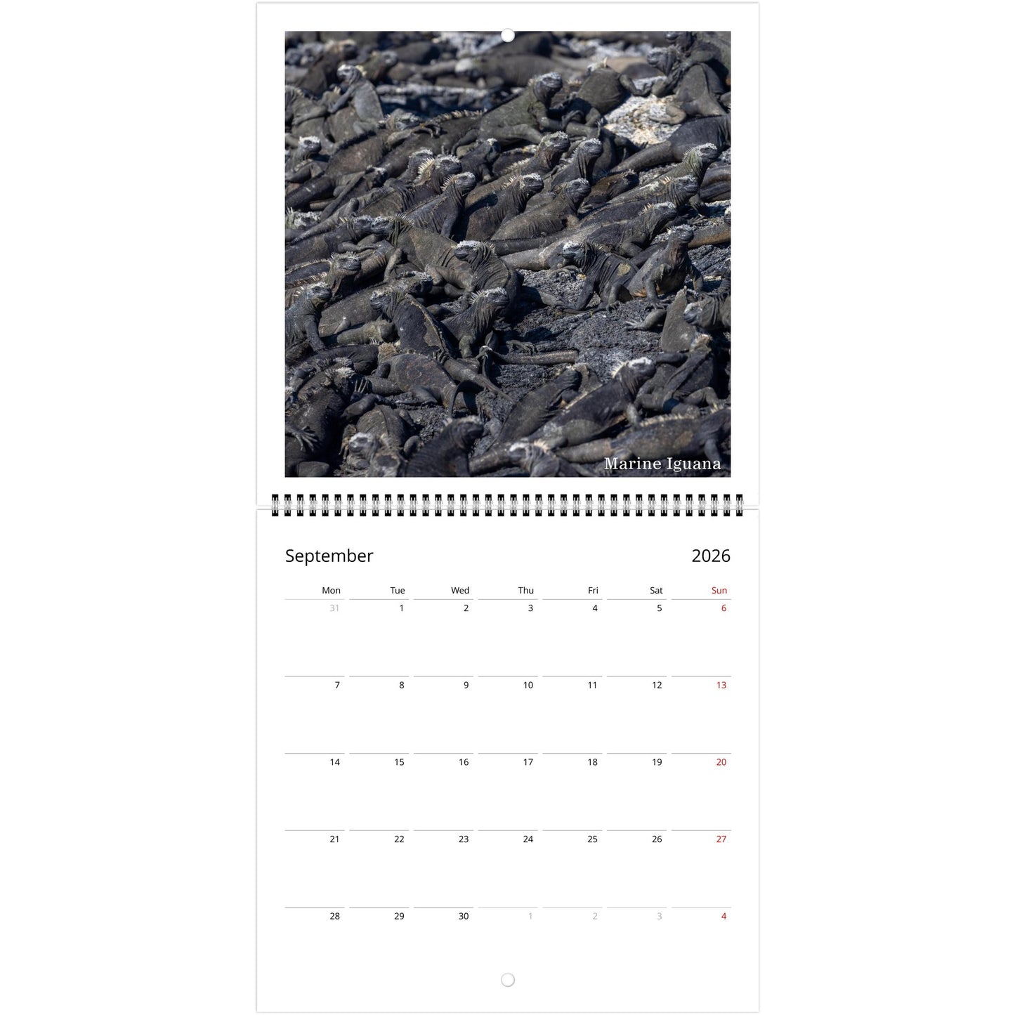 f6eefe3a-374b-4213-8a3e-9cf49421b8e6